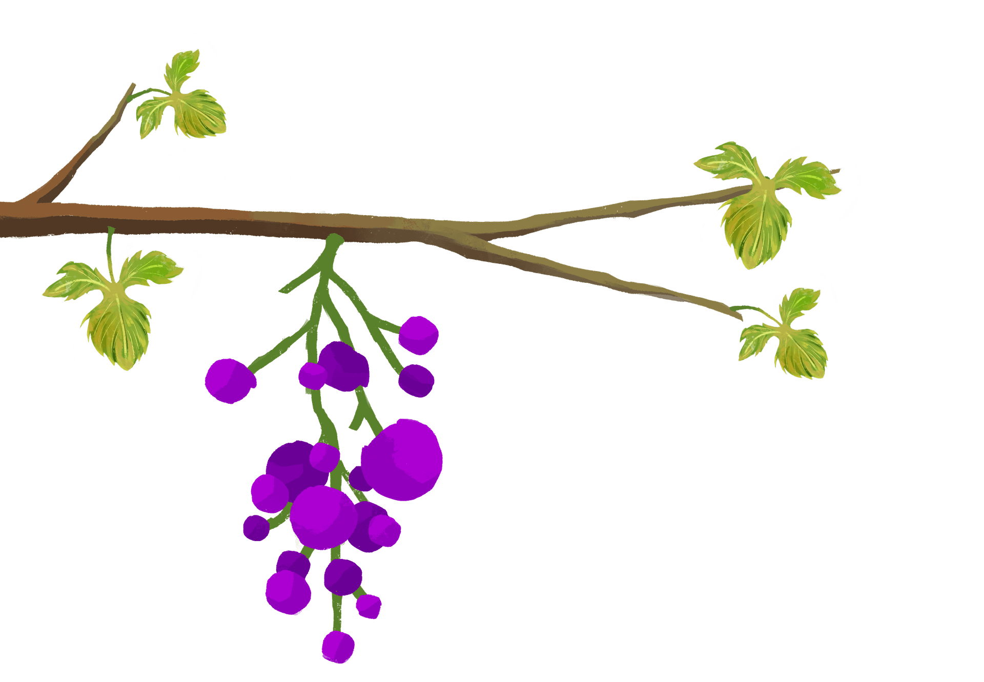 Finance section vine